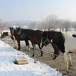 Nikol * Tihany